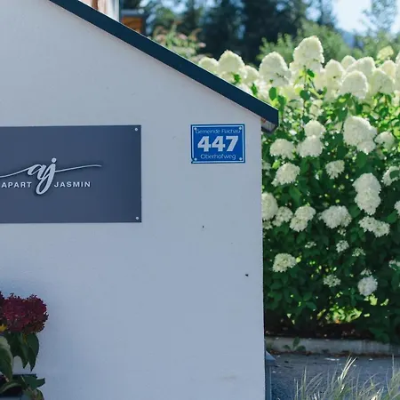 Jasmin Apartament Flachau