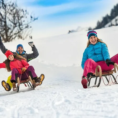 Apart Jasmin Apartment Flachau