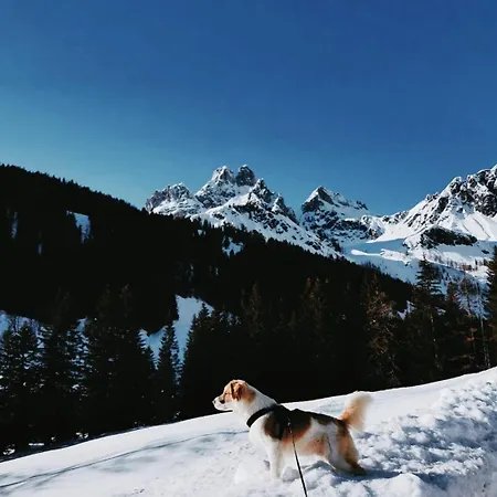Jasmin Apartamento Flachau