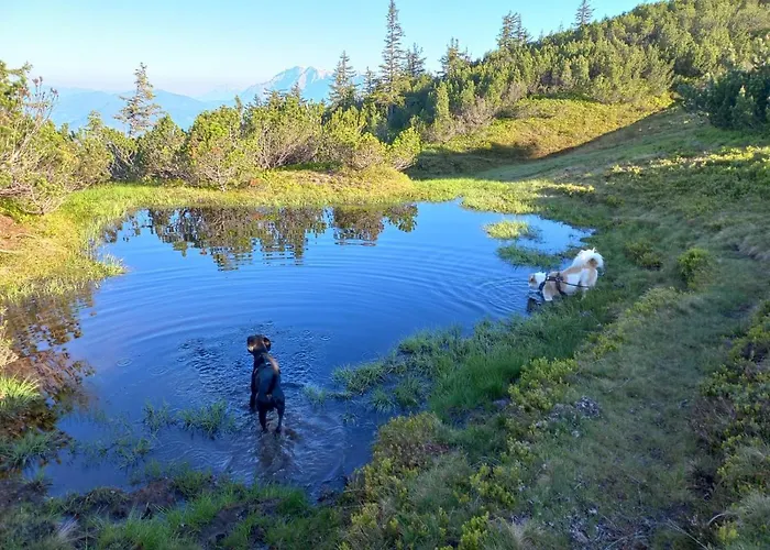 Apartment Apart Jasmin