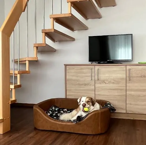 Apartment Apart Jasmin