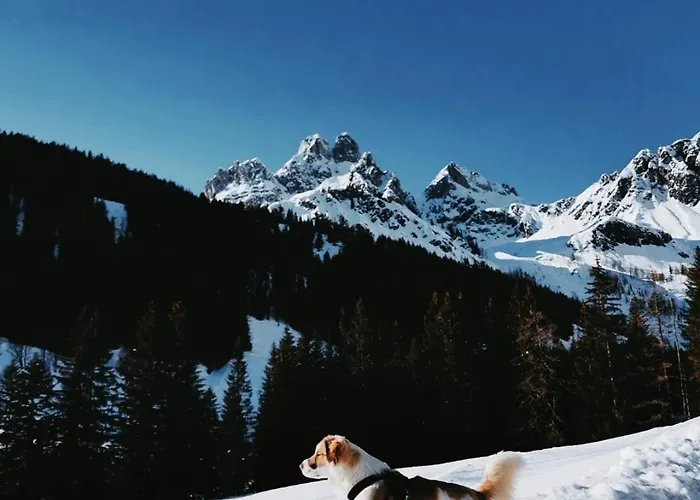 Apart Jasmin Apartment Flachau